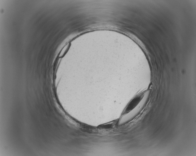 X0000062131005200601060852