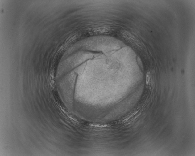 X0000062131011200601060852