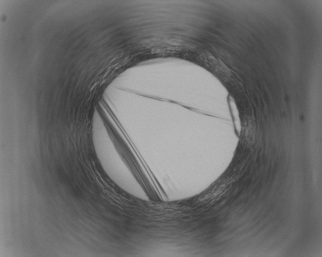 X0000062131012200601060852