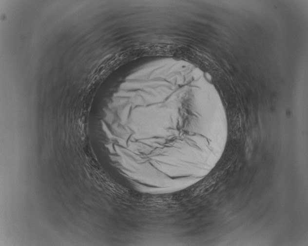 X0000062131013200601060852