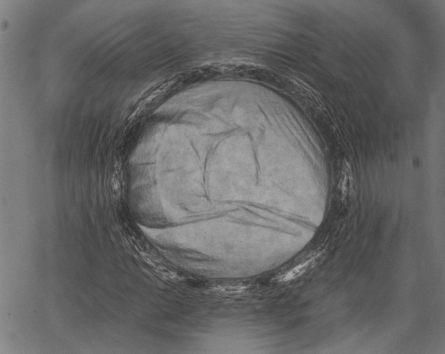 X0000062131014200601060852