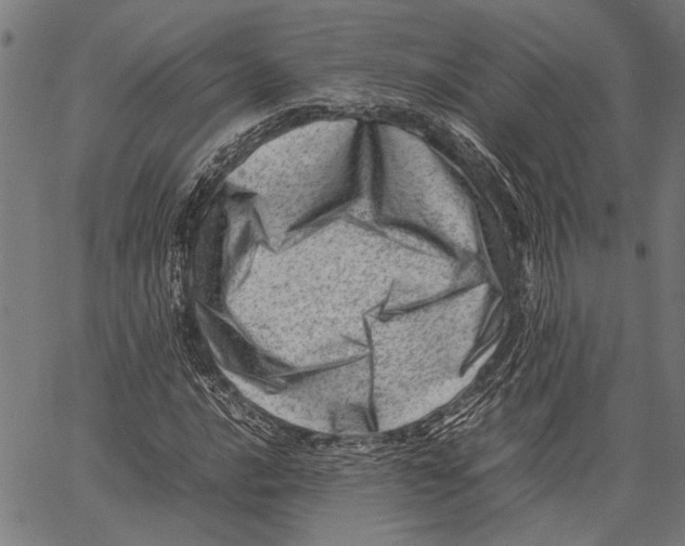 X0000062131016200601060852