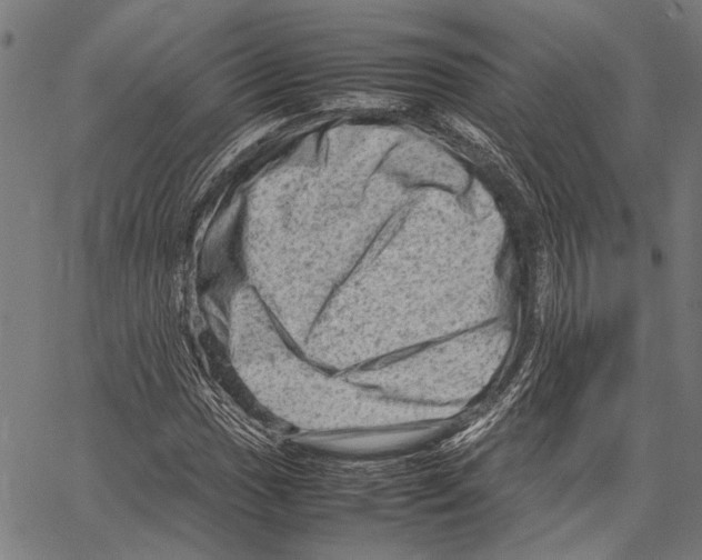 X0000062131017200601060852