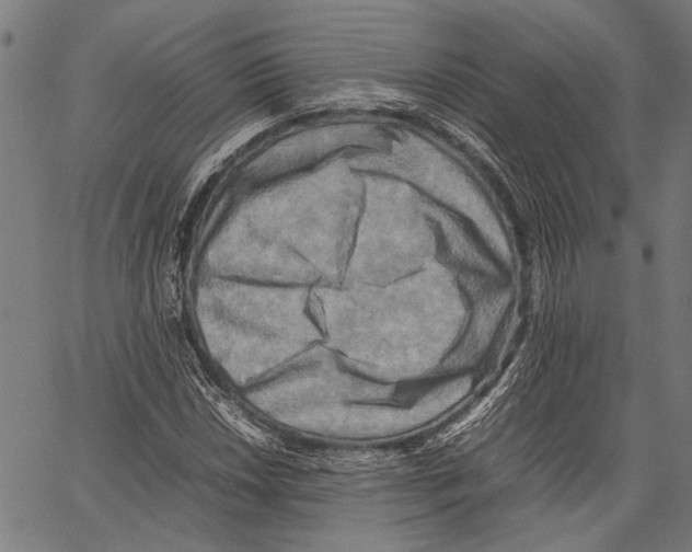 X0000062131018200601060852