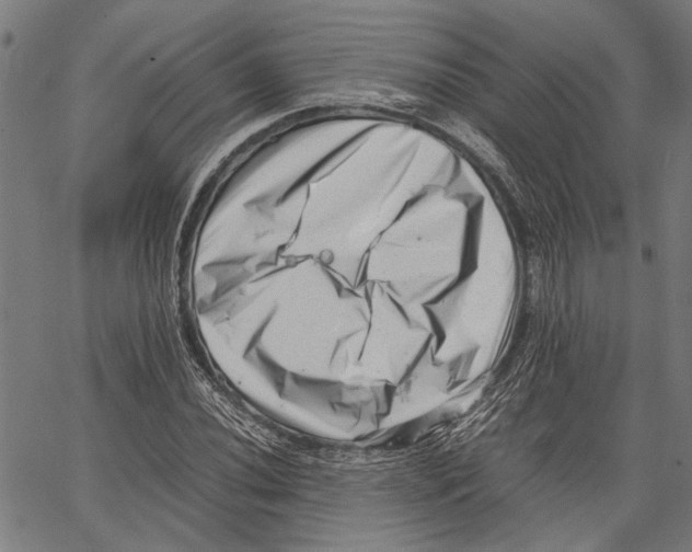 X0000062131020200601060852