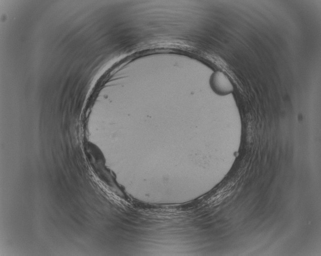 X0000062131024200601060852