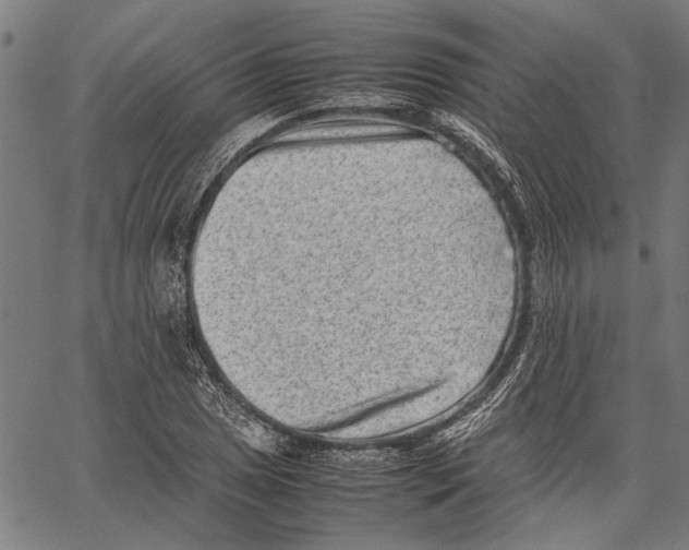 X0000062131025200601060852