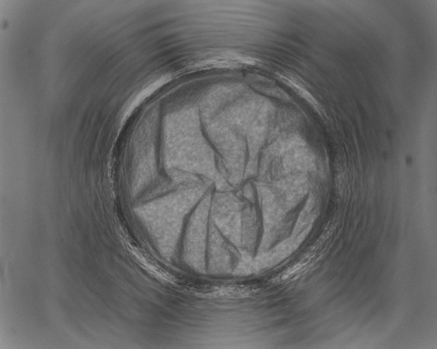 X0000062131026200601060852