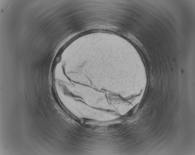 X0000062131028200601060852