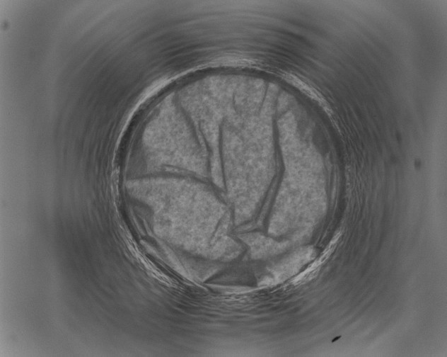 X0000062131029200601060852