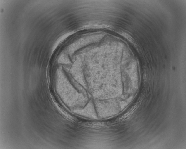 X0000062131030200601060852