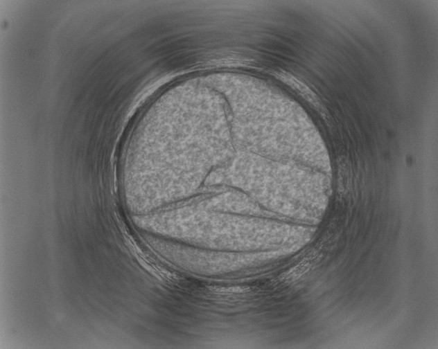 X0000062131031200601060852