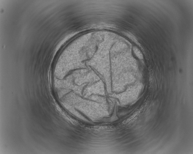 X0000062131032200601060852