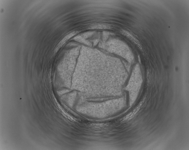 X0000062131033200601060852