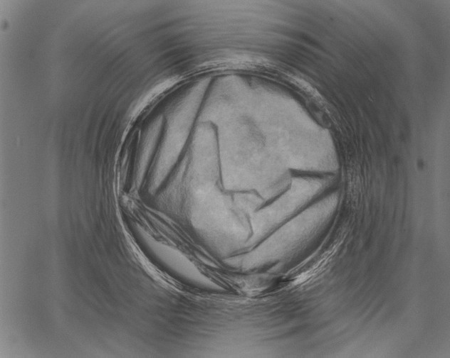 X0000062131034200601060852