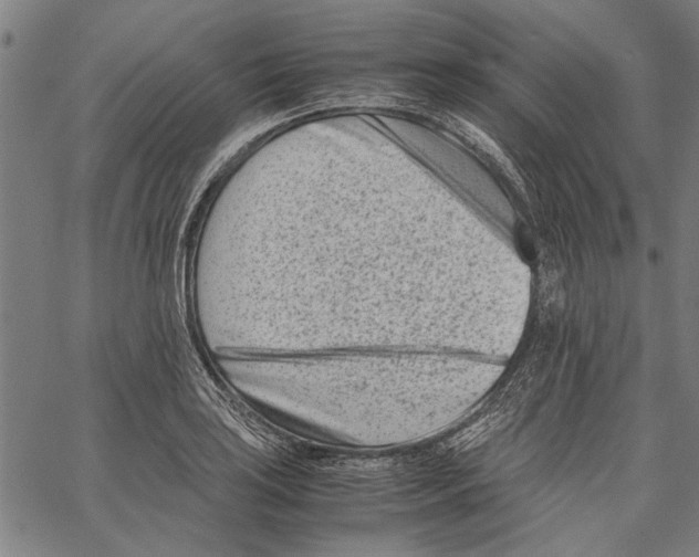 X0000062131035200601060852