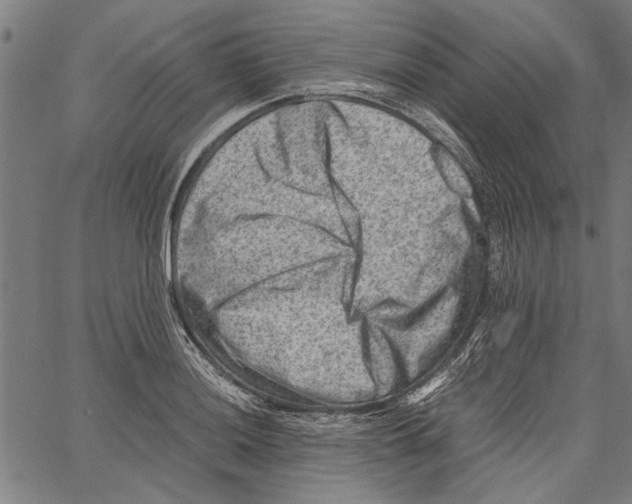 X0000062131036200601060852