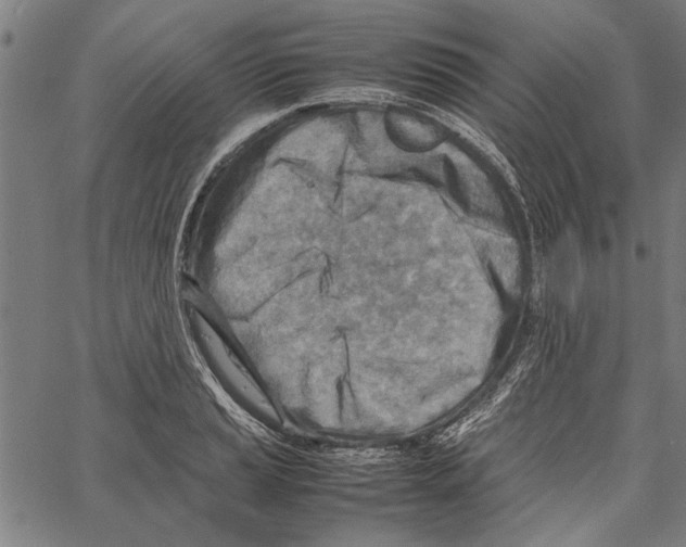 X0000062131037200601060852