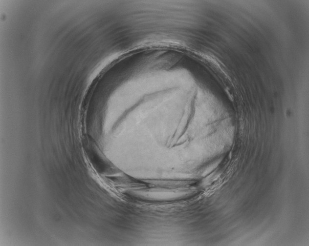 X0000062131038200601060852