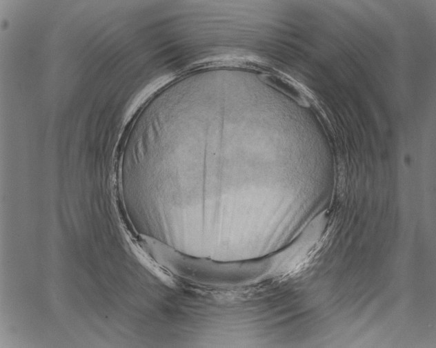 X0000062131042200601060852