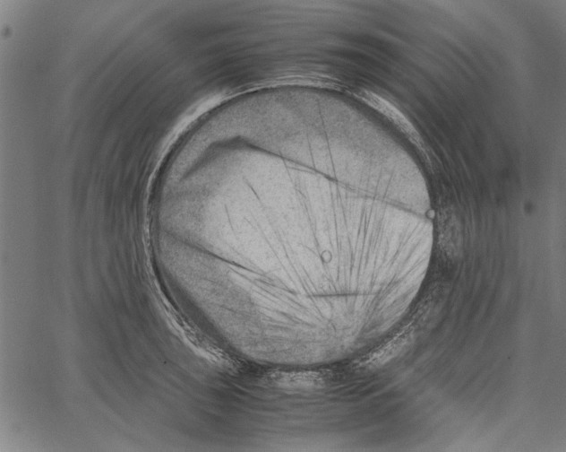 X0000062131043200601060852