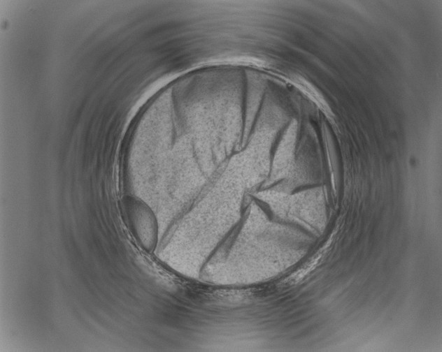 X0000062131044200601060852