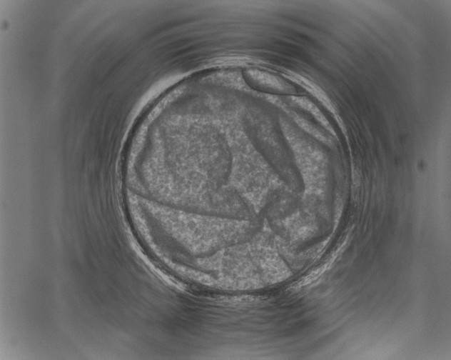 X0000062131045200601060852