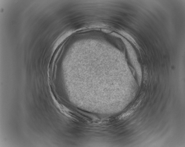 X0000062131047200601060852