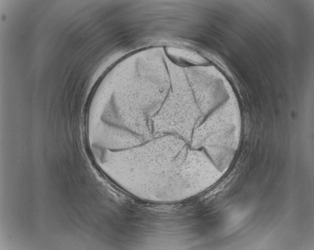 X0000062131048200601060852