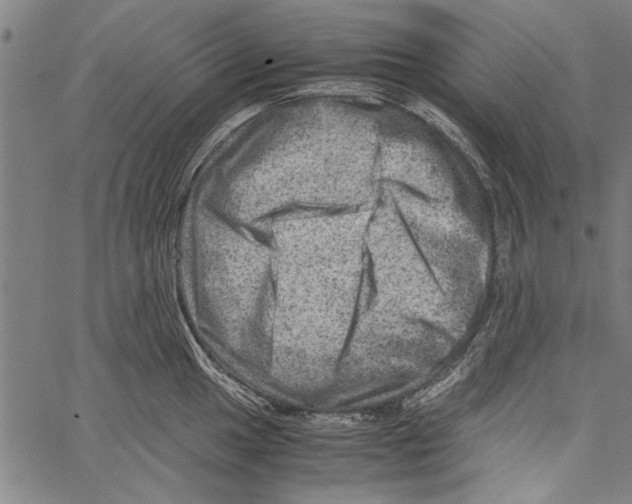 X0000062131049200601060852