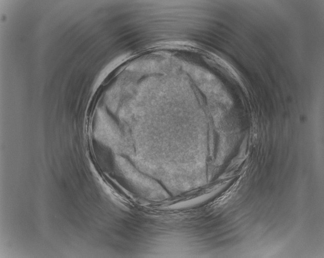 X0000062131050200601060852