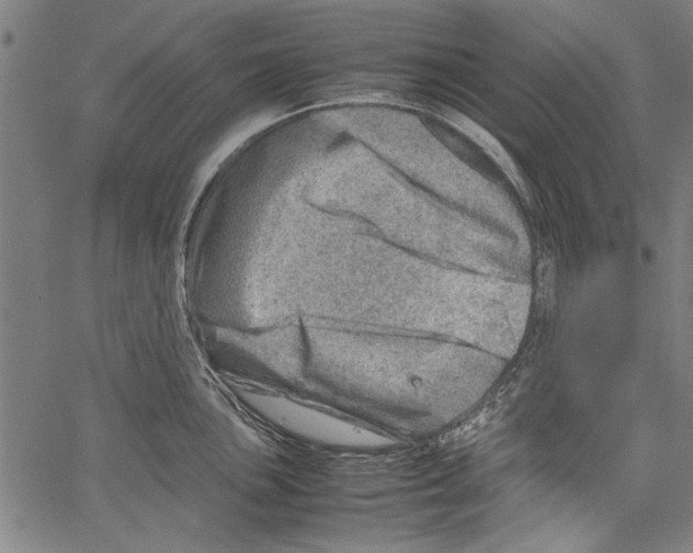 X0000062131051200601060852