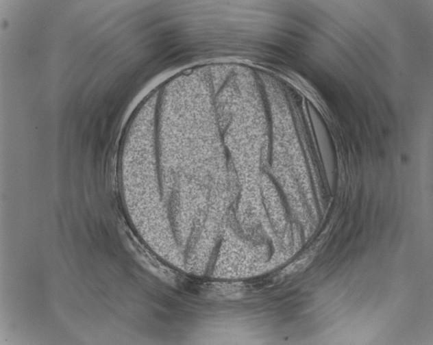 X0000062131052200601060852