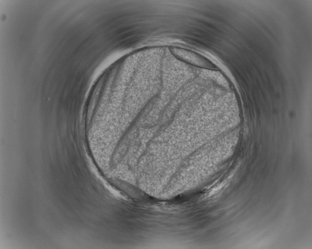 X0000062131053200601060852