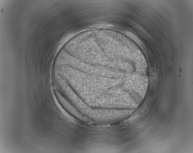 X0000062131055200601060852