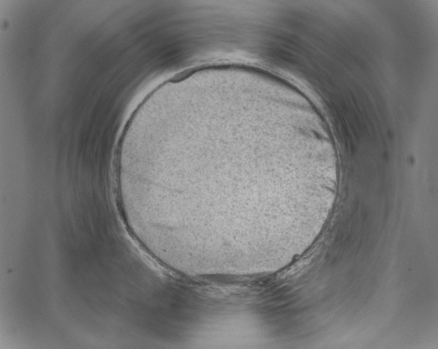 X0000062131056200601060852