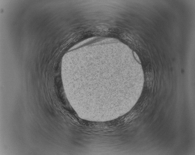 X0000062131057200601060852