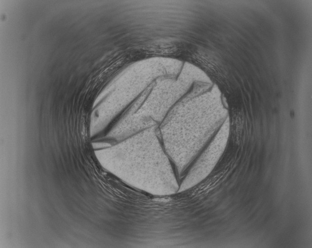 X0000062131058200601060852