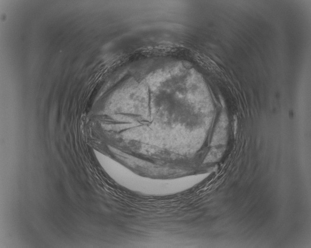 X0000062131059200601060852