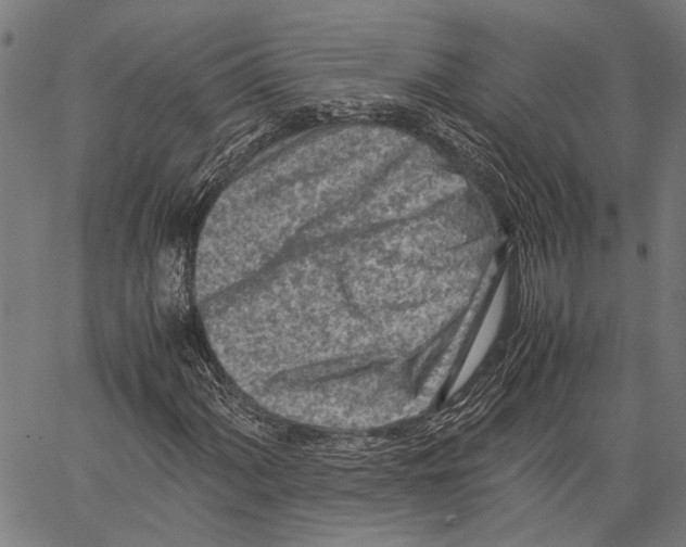 X0000062131060200601060852