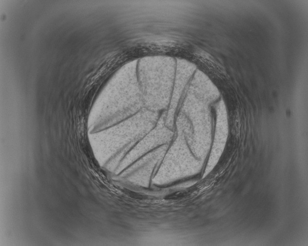 X0000062131061200601060852