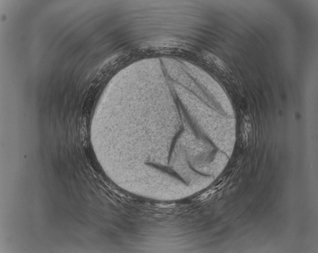 X0000062131062200601060851