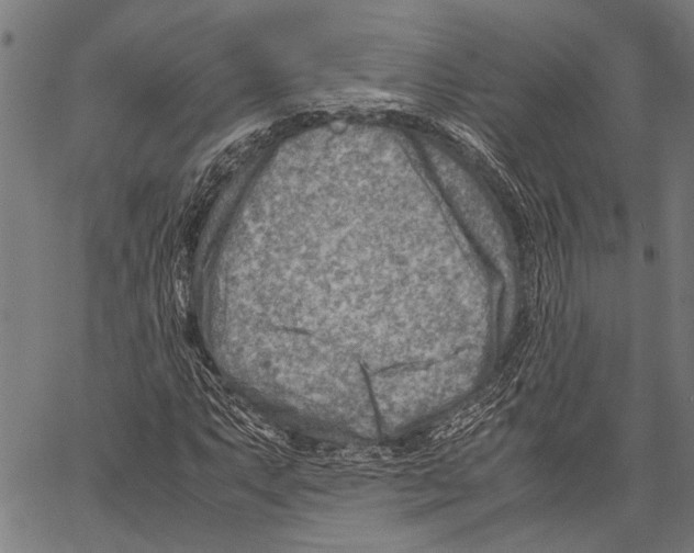 X0000062131063200601060851