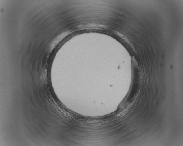 X0000062131066200601060851