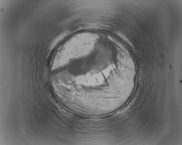 X0000062131067200601060851