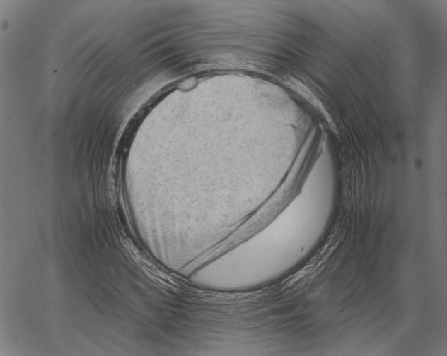 X0000062131068200601060851