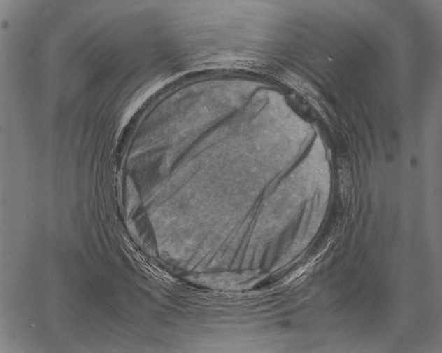 X0000062131069200601060851