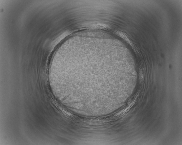 X0000062131071200601060851