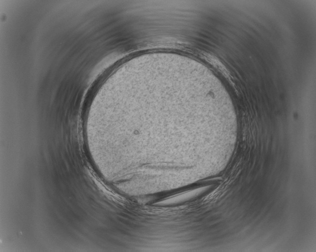 X0000062131072200601060851