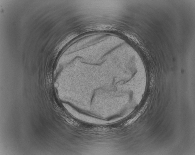 X0000062131073200601060851